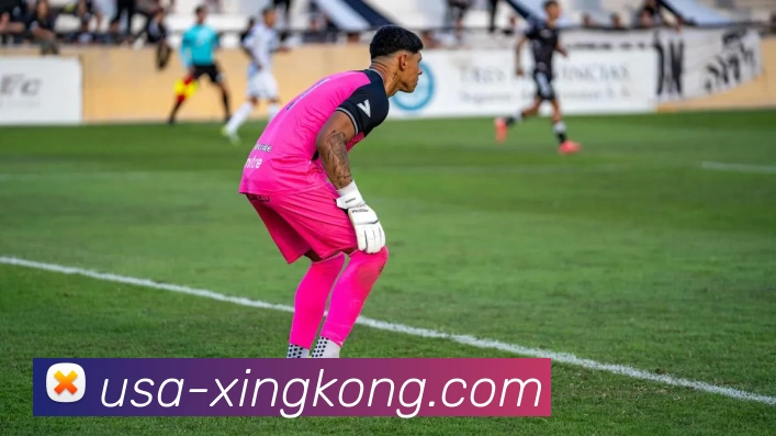 星空体育app平台生态图