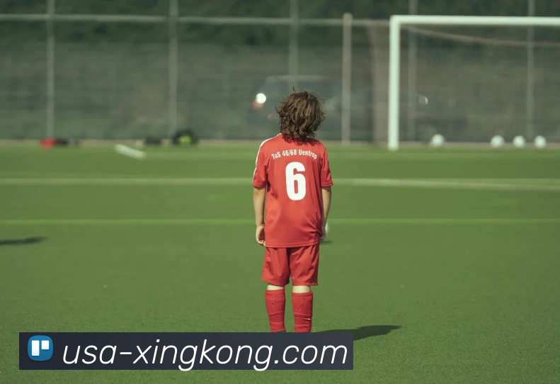 星空体育appAPP 封面图